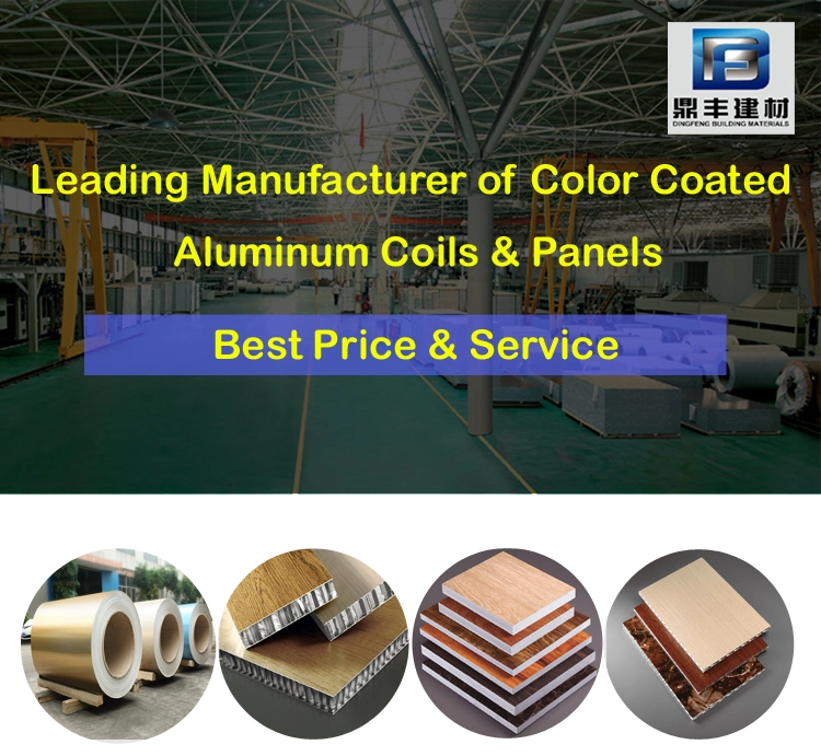 Fashionable Alloy 3004 Painted Stone Surface Aluminum Coil with PVDF Coating with Best Price